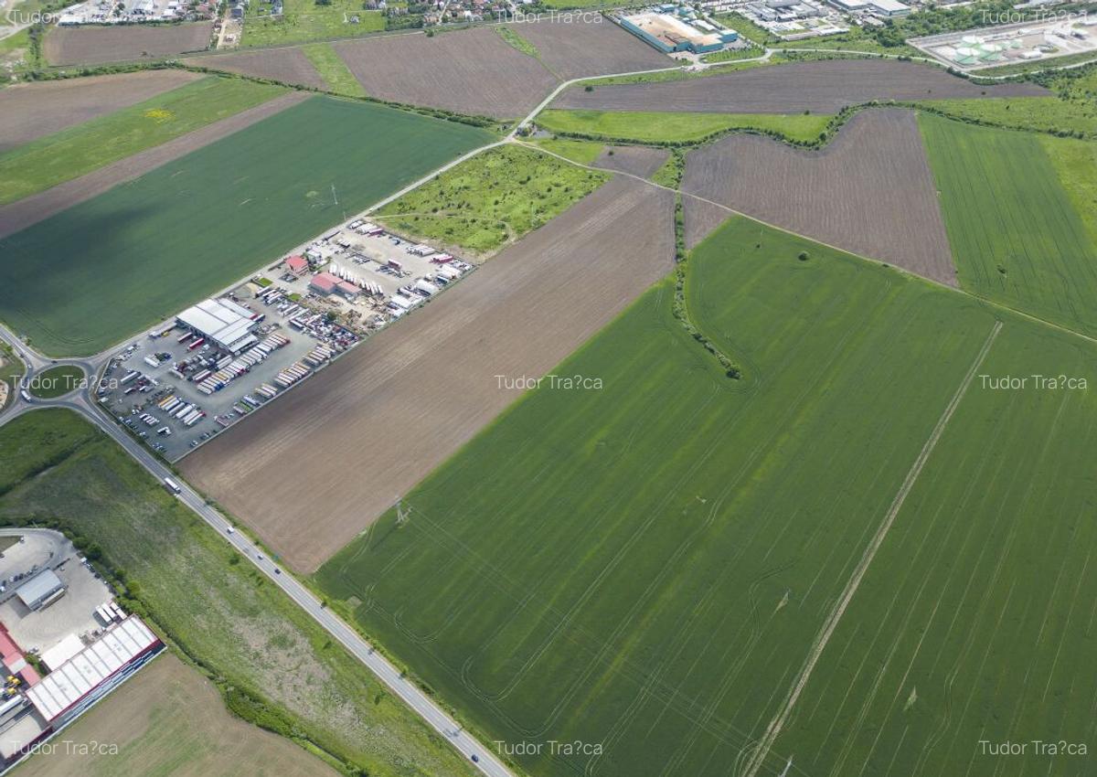 Teren de 29,600mp in zona de centura Nord - 30