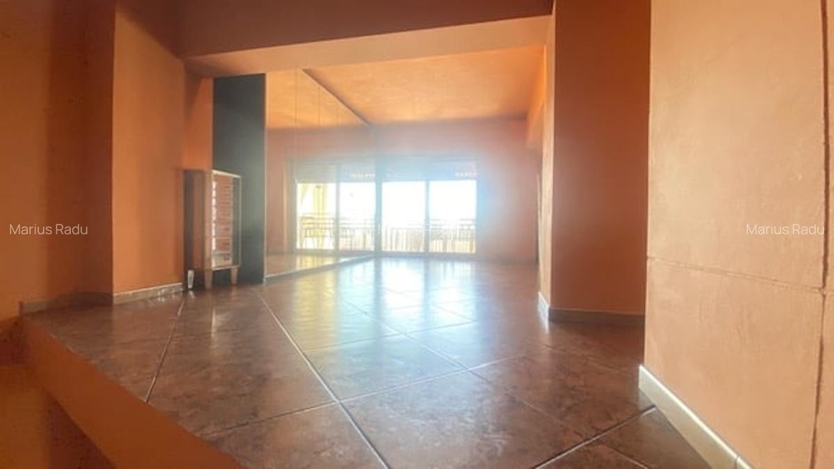 Bd. Unirii 5 camere Loft ! - 11