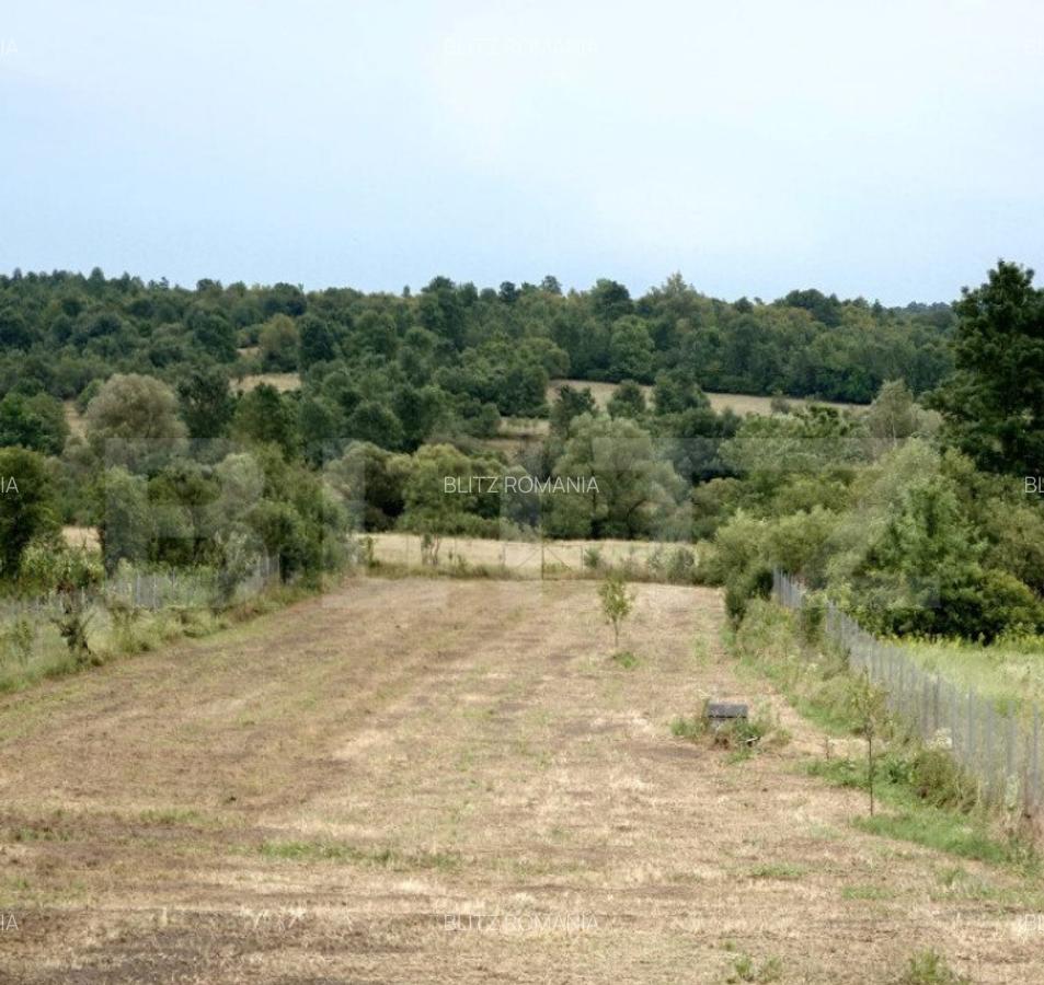 Casa de vacan?a, Brestova? - 15