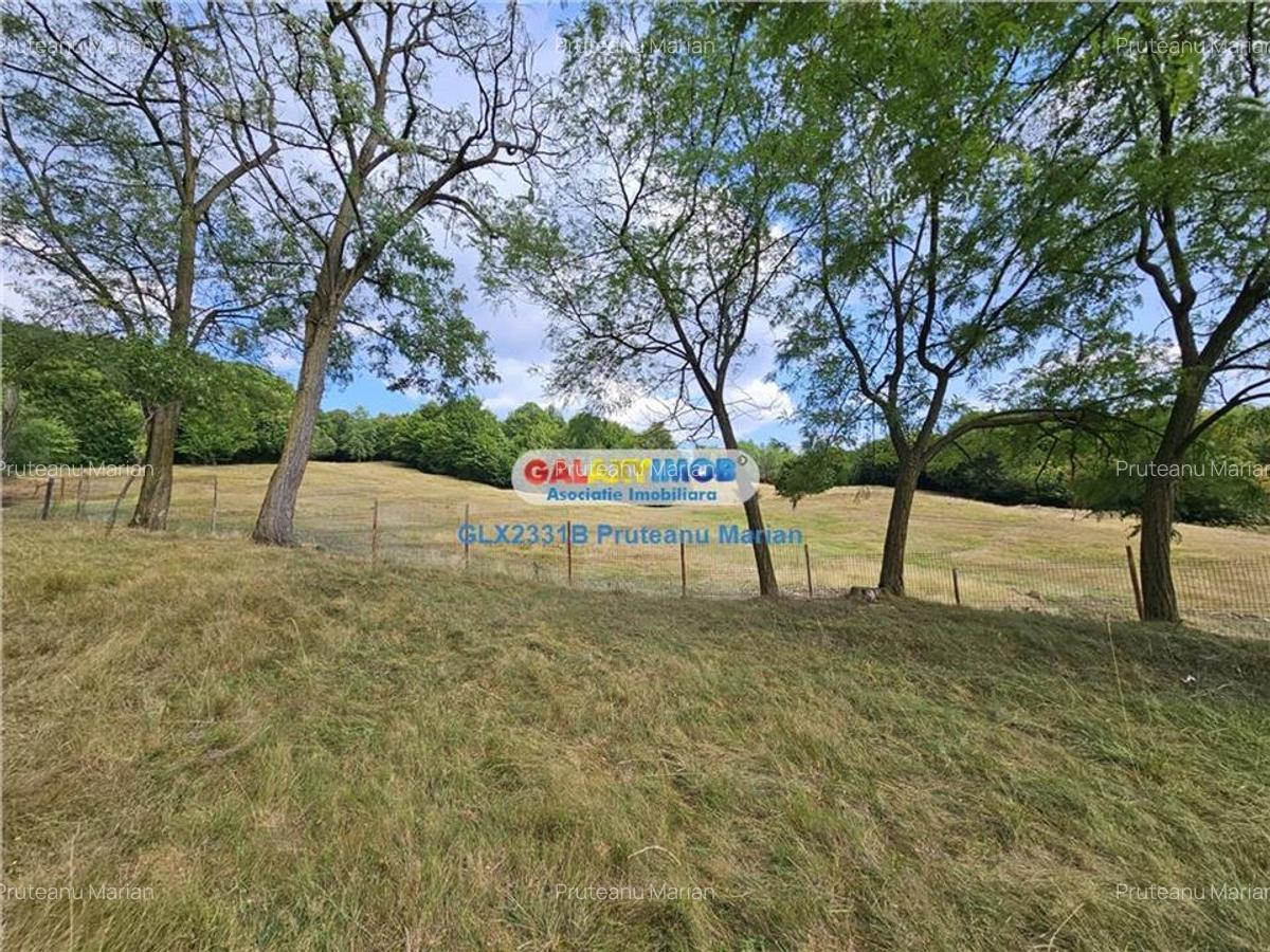 Vanzare teren 2680 m situat la Curtea de Arges cu iesire spre Transfag - 6