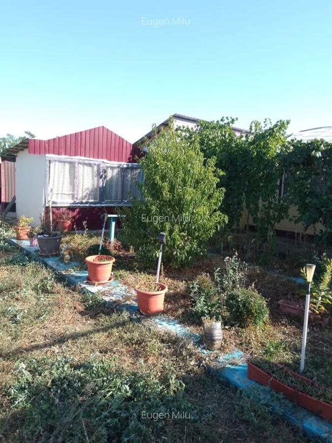 Casa de vanzare in Garbovi, jud. Ialomita - la doar 70 km de Bucuresti! - 11