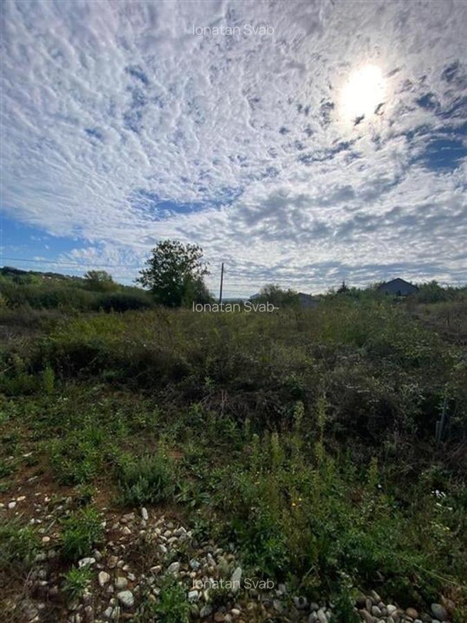 RECO Teren intravilan Paleu 647mp cu Utilitati inclusiv Gaz - 3
