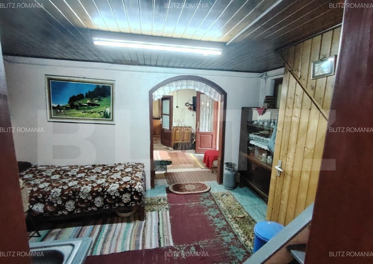 Cabana 5 camere Salard - 12