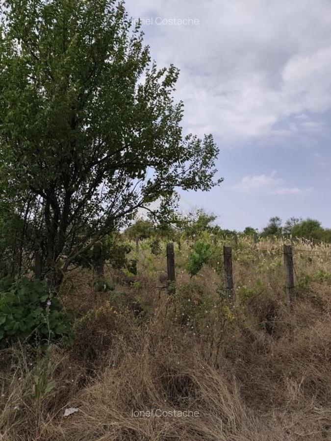 Teren intravilan potential investitie, str Solstitiului, Popesti Leordeni - 4