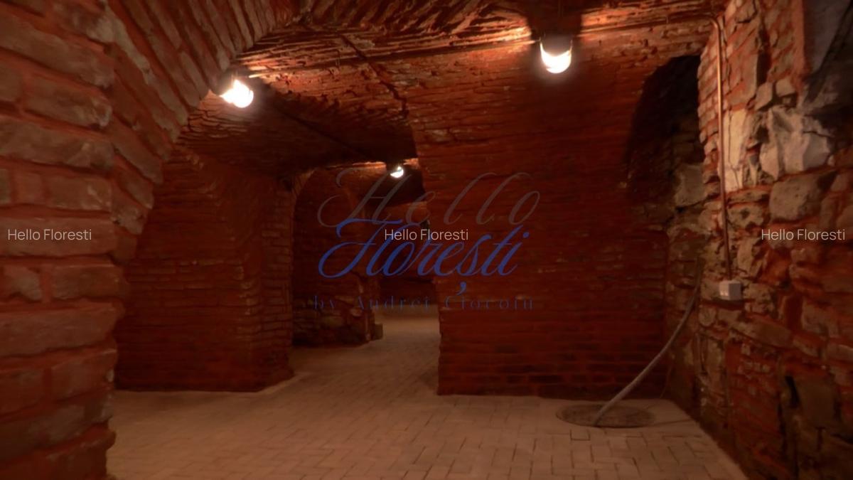 Inchiriere spatiu comercial, ultracentral, intrare din strada 204mp - 12