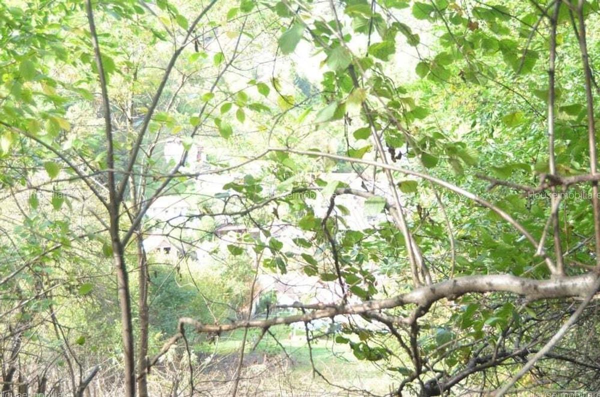 Brasov-Schei -Teren intravilan de vanzare - 6 Brasov-Schei -Teren intravilan de vanzare - 6