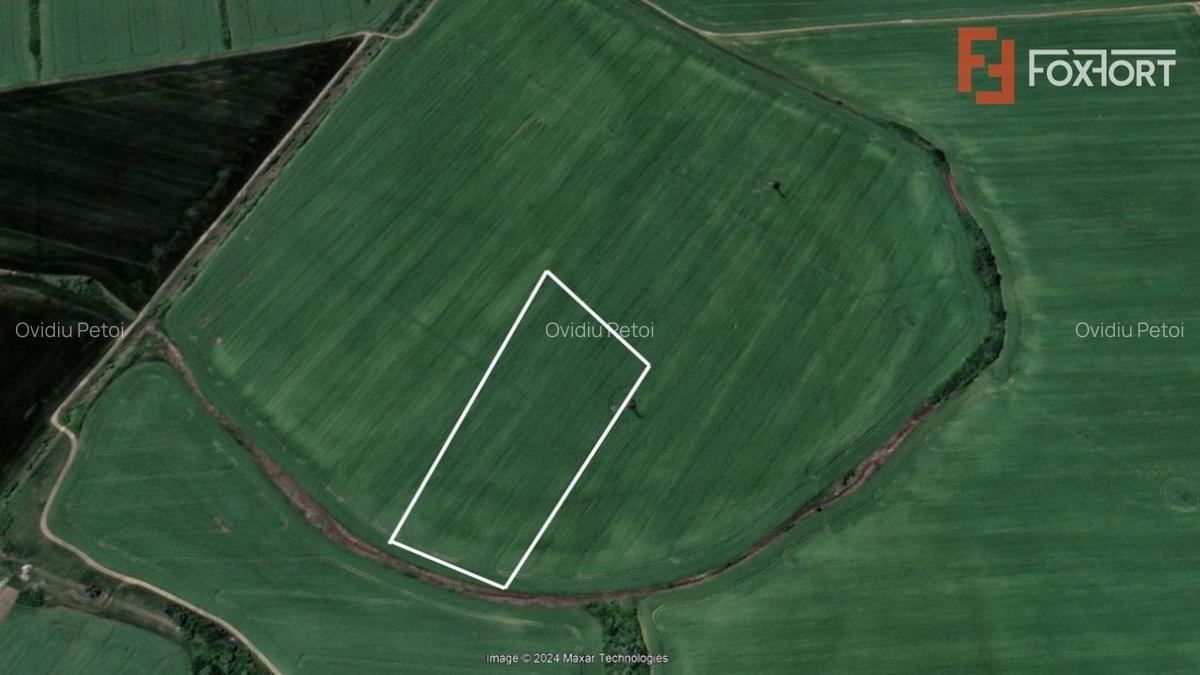 COMISION 0% Teren extravilan agricol de vanzare in Timisoara, zona Mehala - 3