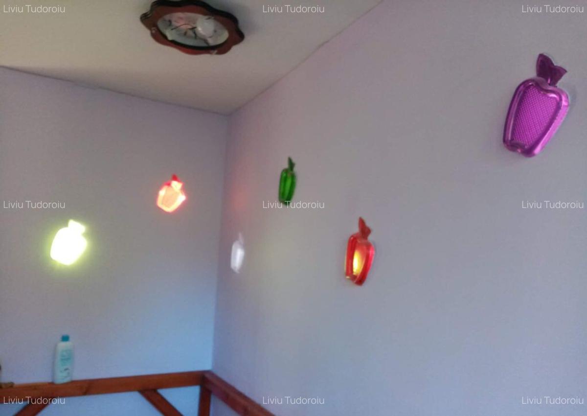 Casa de vanzare la liziera padurii Comuna Boga?i,... - 9