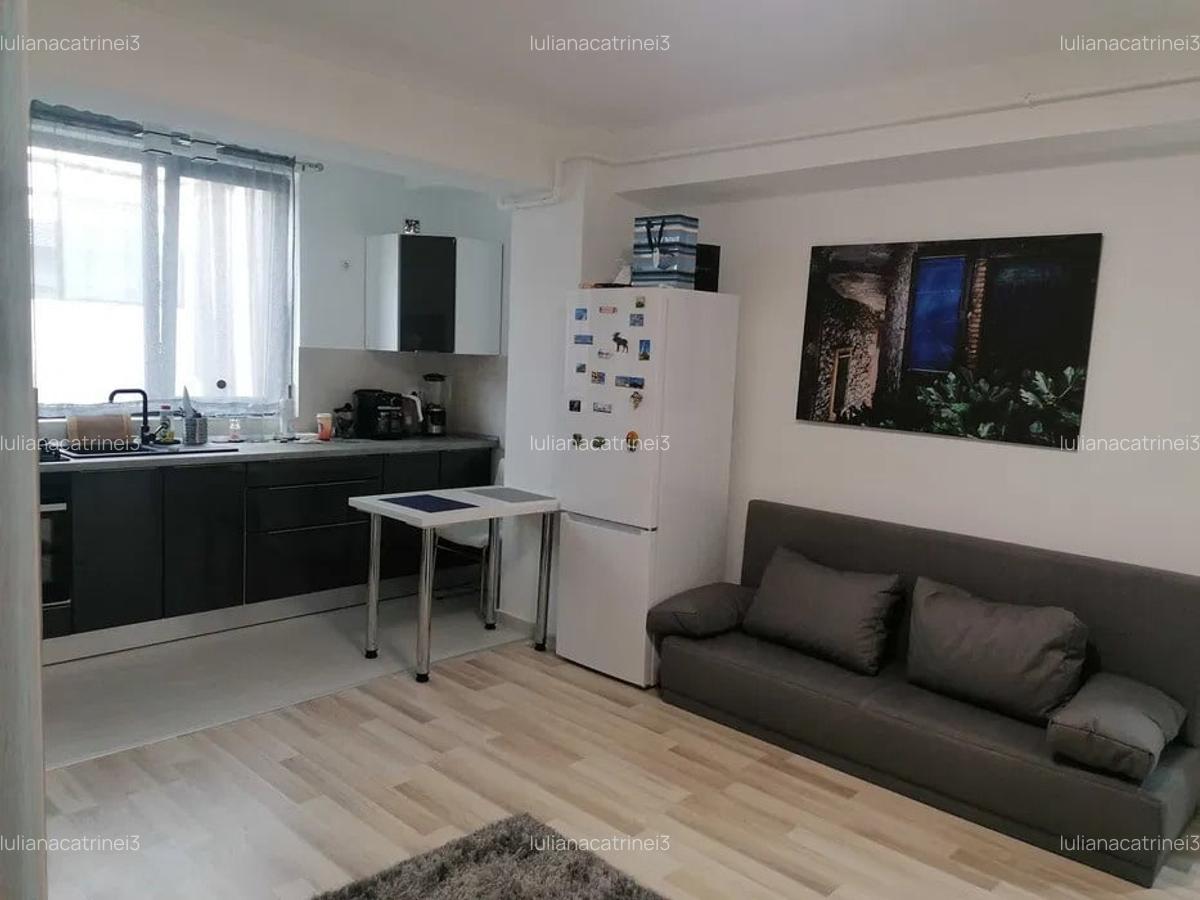 APARTAMENT 2 CAMERE, MOBILAT SI UTILAT, BLOC NOU, POPAS PACURARI - 3