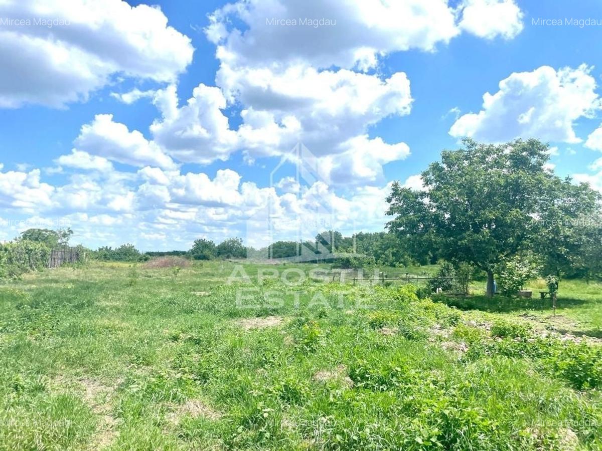 Teren urban pentru investitii si dezvoltare - A. M. Guttenbrun - 5