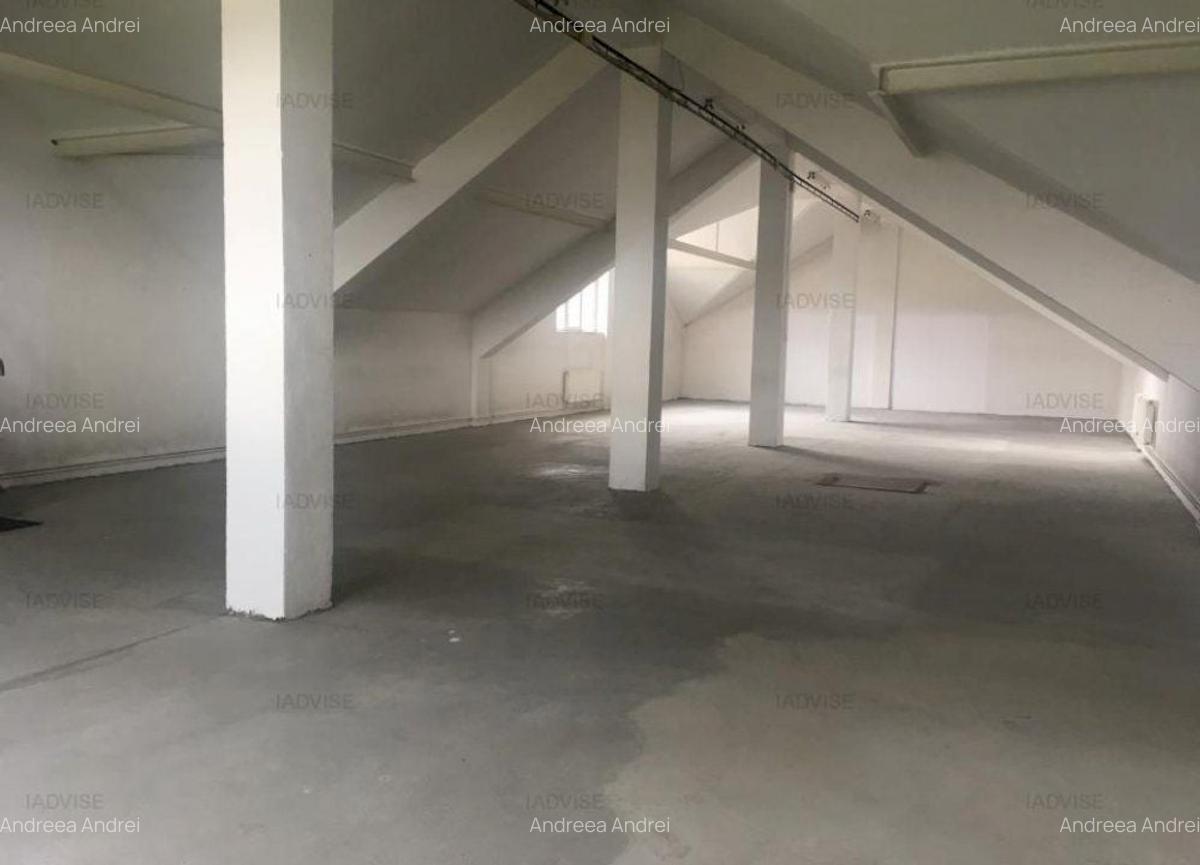 Spațiu industrial, 590 mp în Griviței - 4