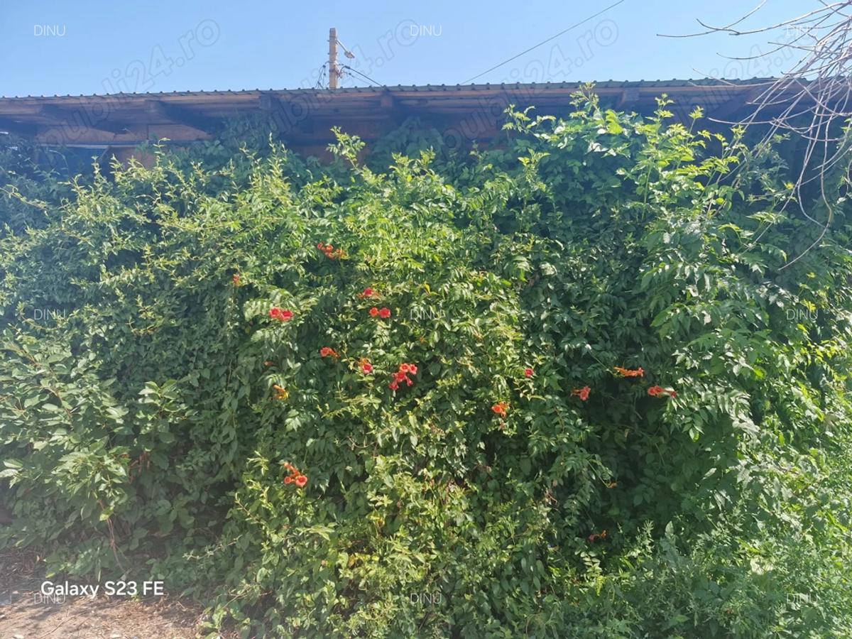 Vand casa deosebita - 5