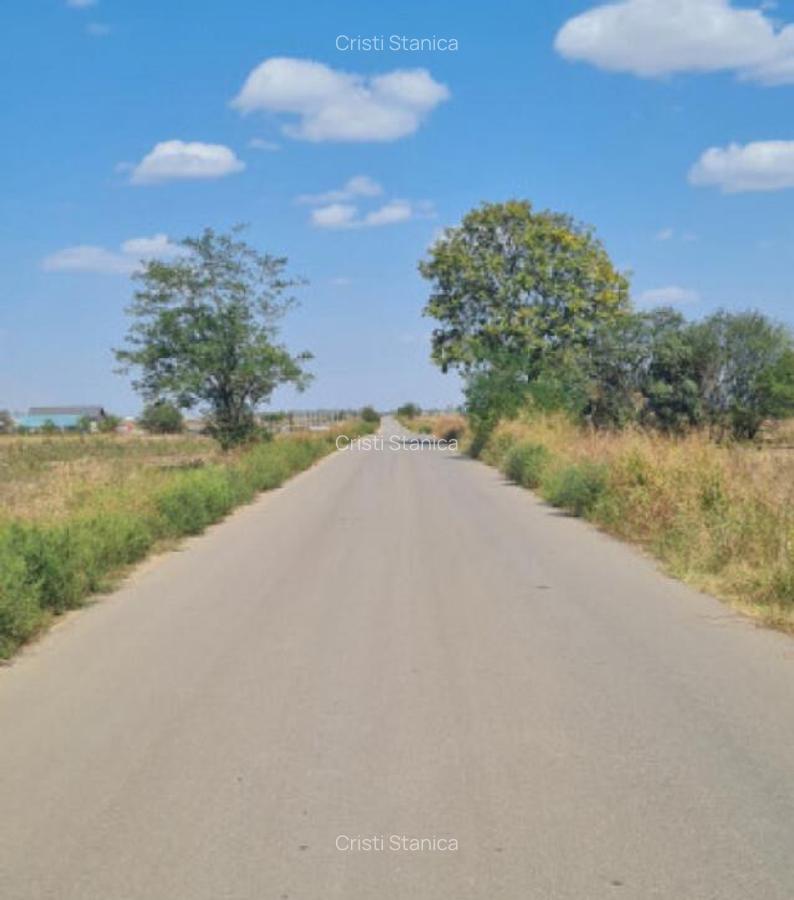 Teren investitie Berceni - 3