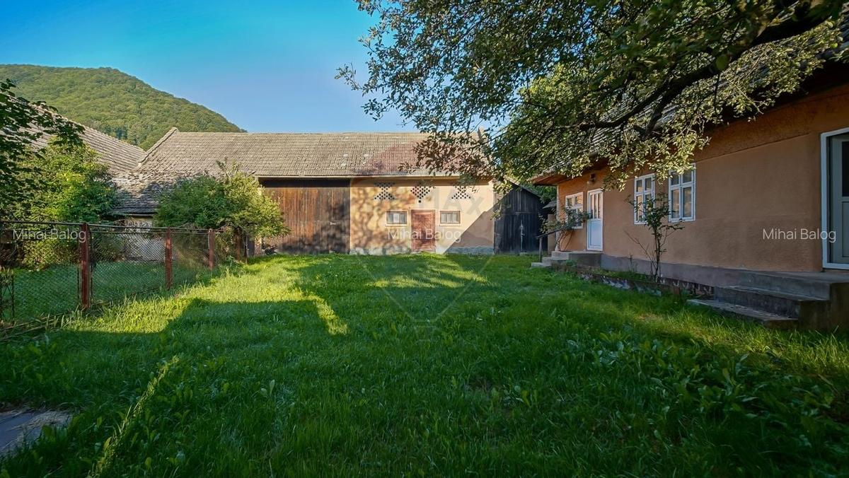 Liniste, aer curat si pamant bun - 7255 mp in Vama Buzaului - 4