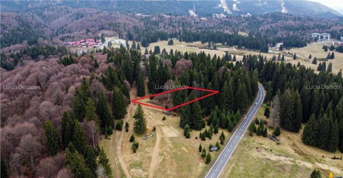 Teren cu potential:1.000 mp,proiect turistic rezidential,Poi - 1