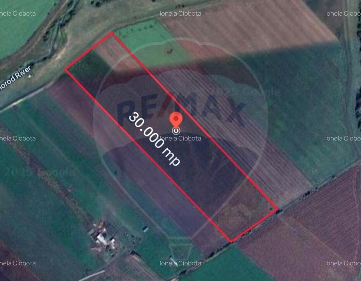 Teren de vanzare / extravilan 30.000mp/ Halchiu - 4