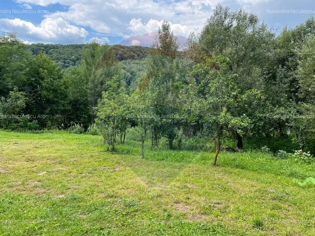 Teren intravilan (faneata) de vanzare  - 2231 mp, Telega, jud. Prahova - 7