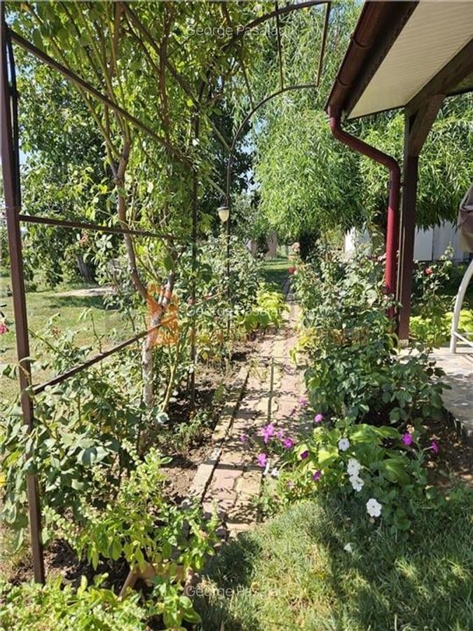 Casa tip parter + beci si teren 4684 mp in Candesti, Vernesti - 19