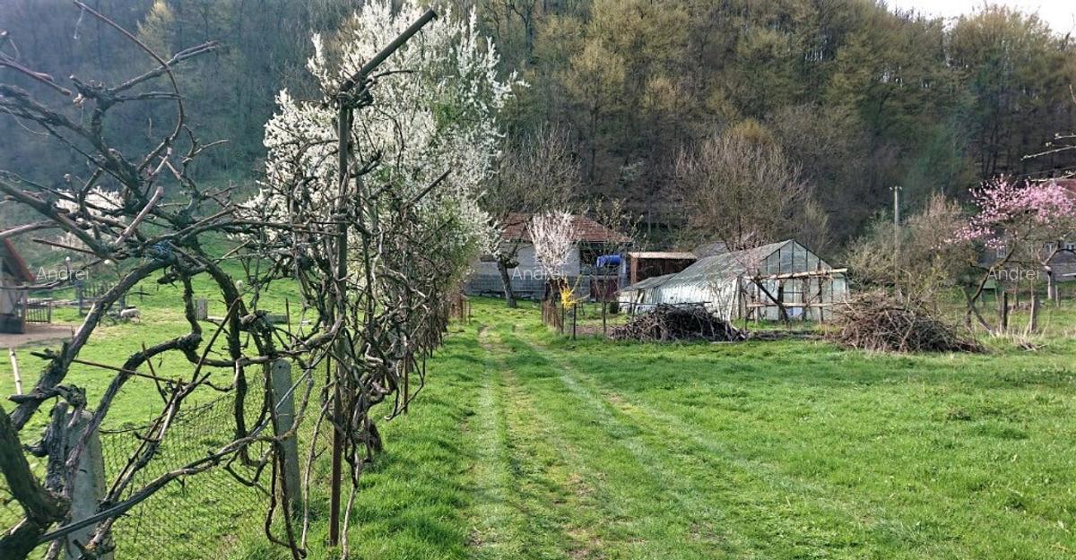 Se vinde proprietate - 3