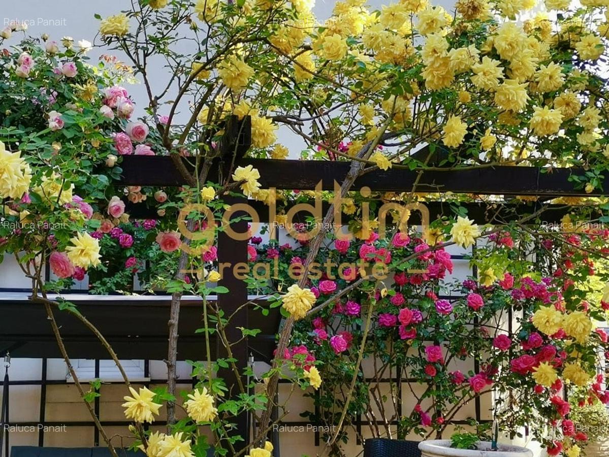 IANCU NICOLAE/ GRADINA SUPERBA/LOCURI DE PARCARE/SPATII GENEROASE - 53