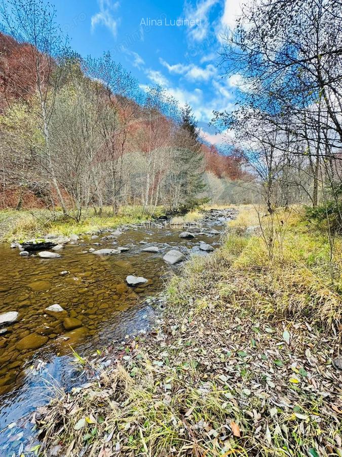 Teren 4,877mp Mara / Strada Principala - 5