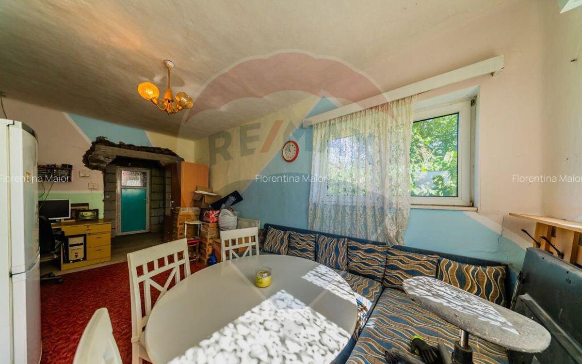 Casa + teren 2880 mp de vanzare in Tipar,Sintea Mare - 8