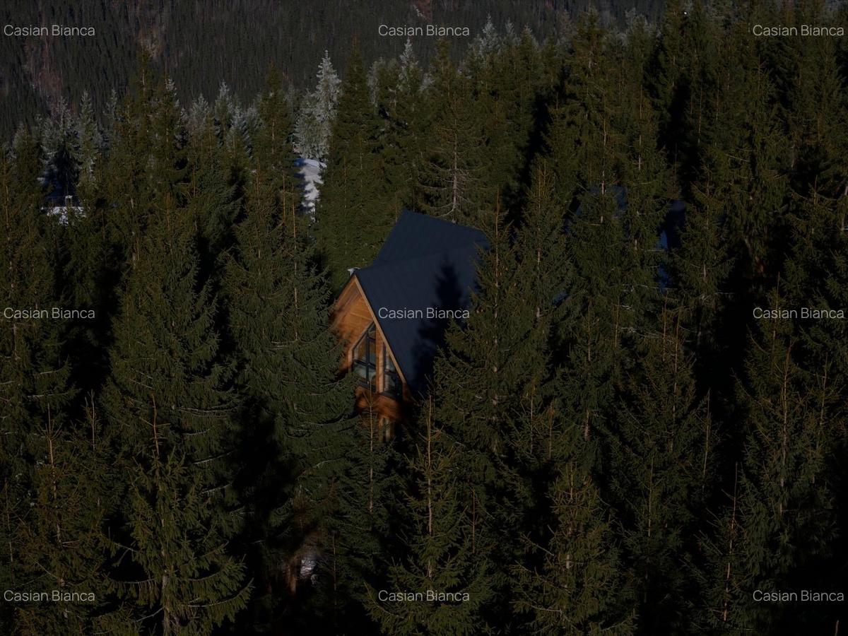 Cabana de vanzare, langa Partia Marisel, comision 0% - 4