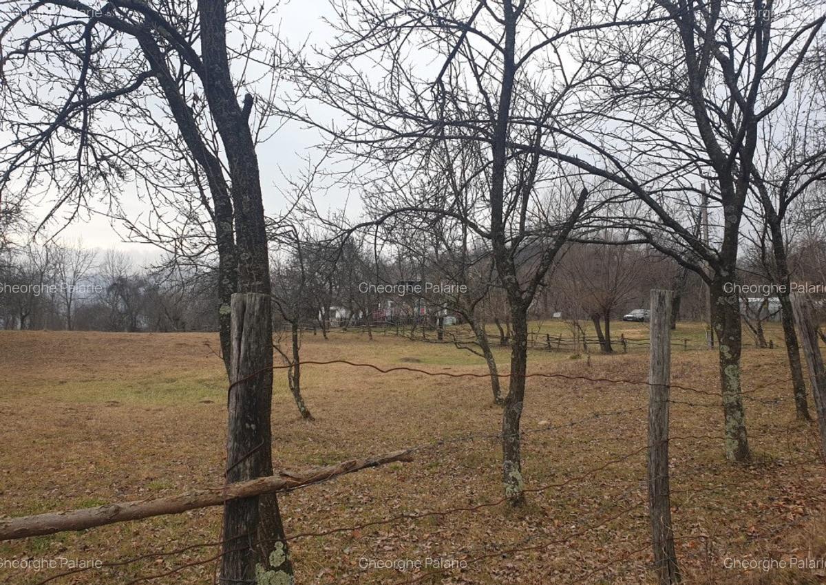 Vand teren 2911mp intravilan, sat Brebu, jud. Dambovita - 2