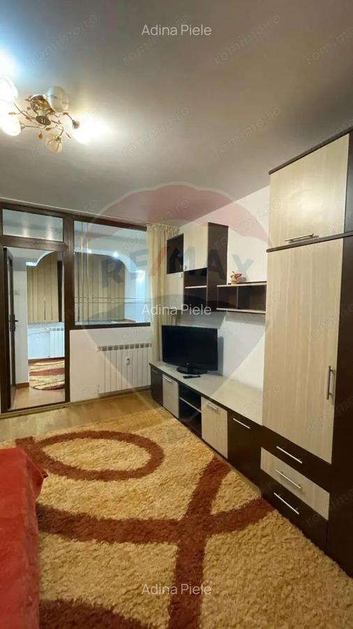 Apartament cu 1 camera de inchiriat in zona Brazda lui Novac - 1