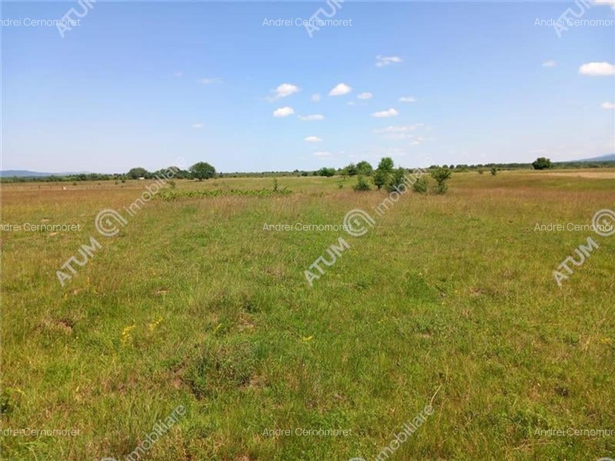 Teren intravilan 5000 mp pe Valea Avrigului, Sibiu - 3