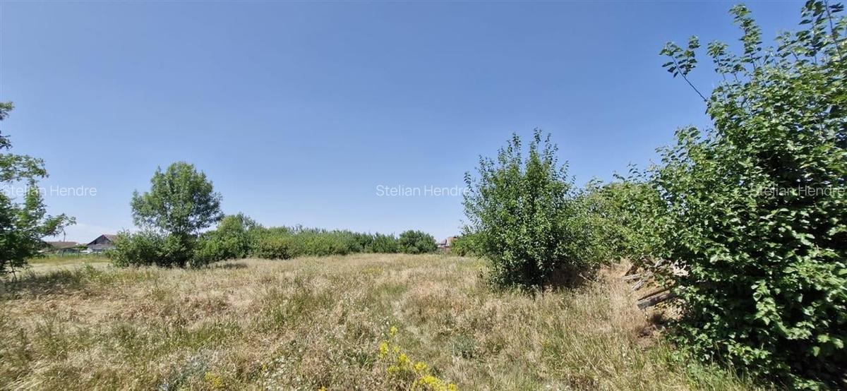 Teren Construcții intravilan de 1420 mp, în Ianoșda - 3