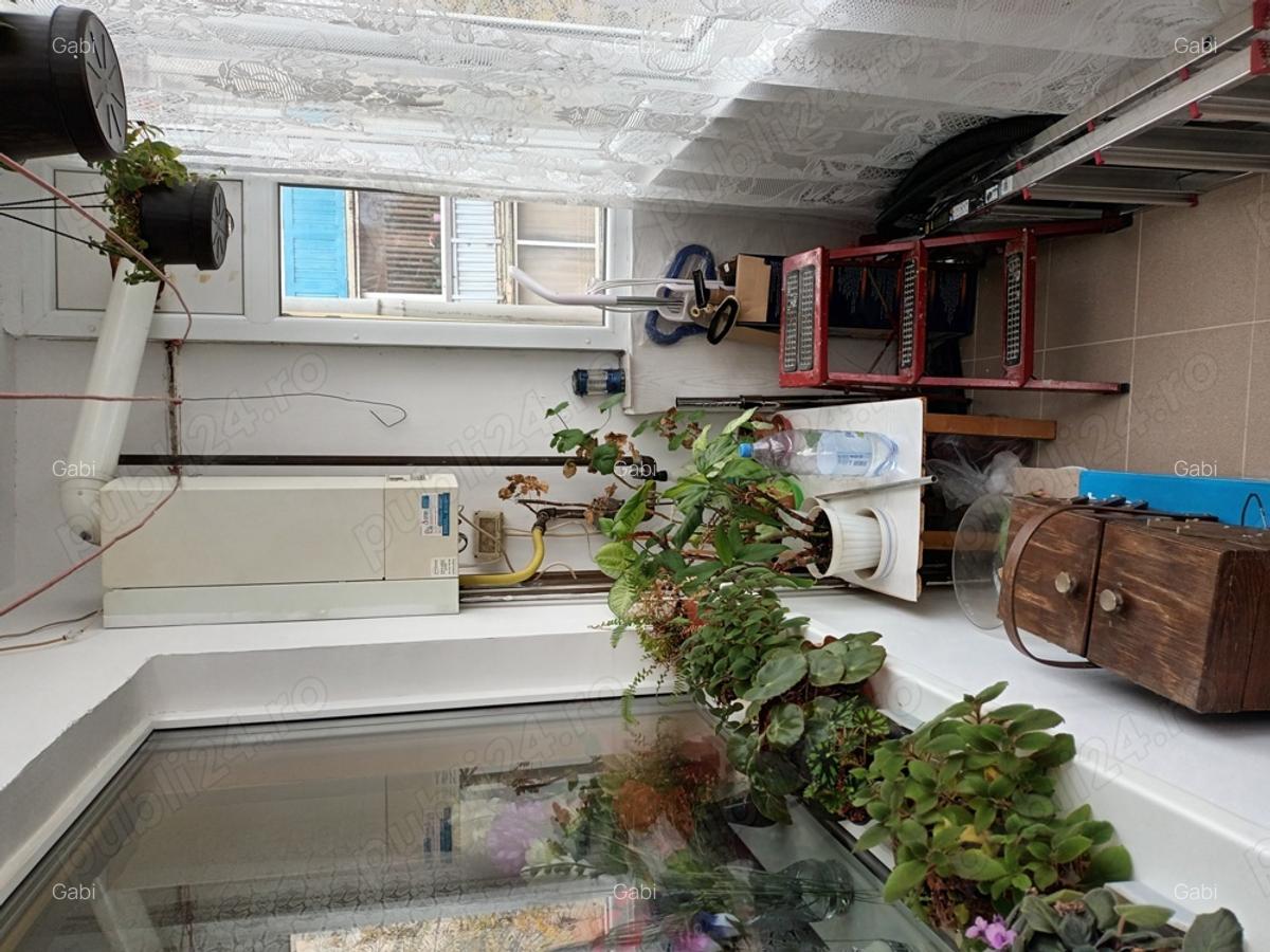 Apartament 2 camere,calea Aradului - 8
