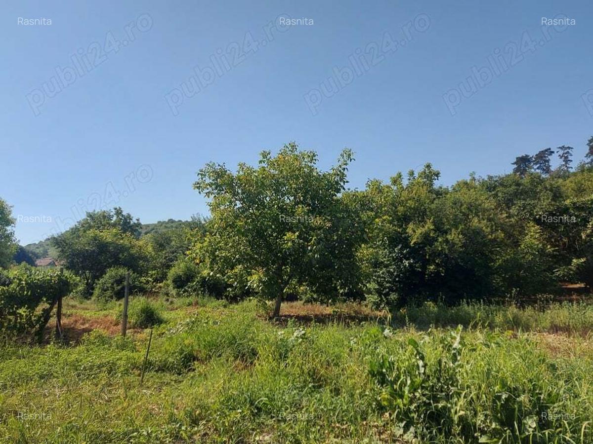 Casa cu gradina in Blaj - 3