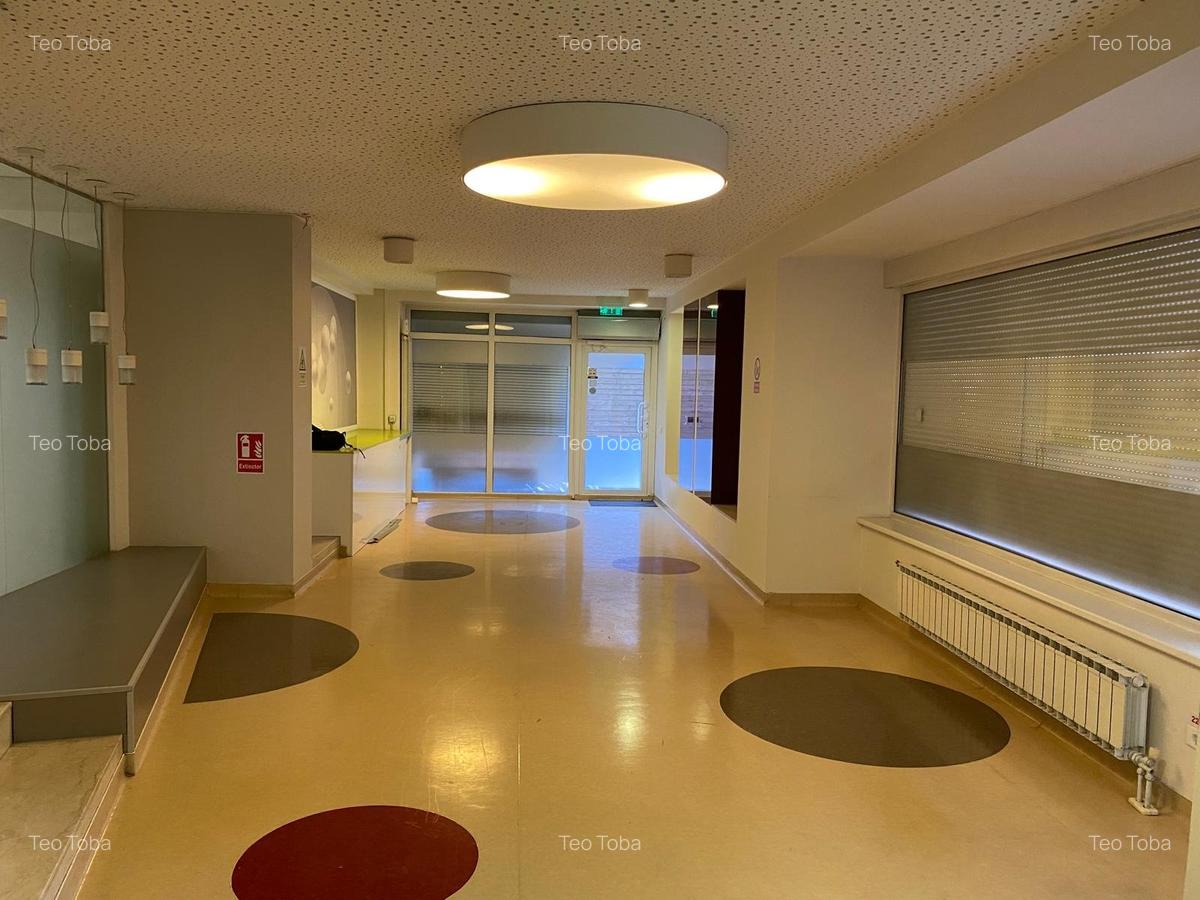 Inchiriere spatiu comercial P+1  230mp curte terasa ideal investitie Aviatorilor - 4