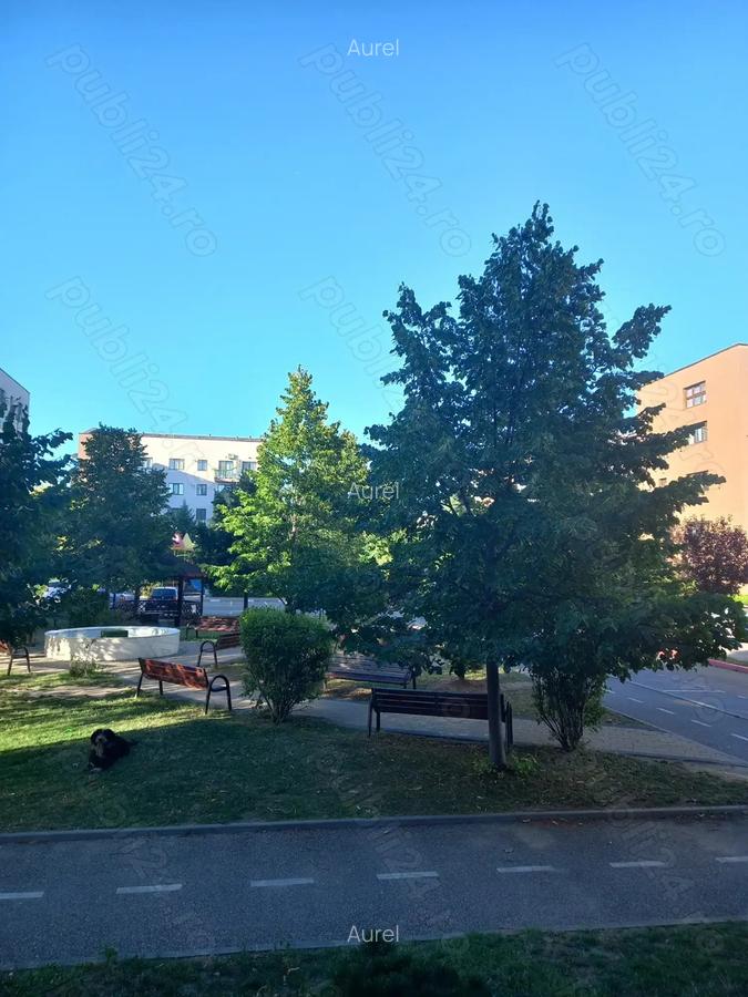 Apartament de inchiriat - 5 Apartament de inchiriat - 5