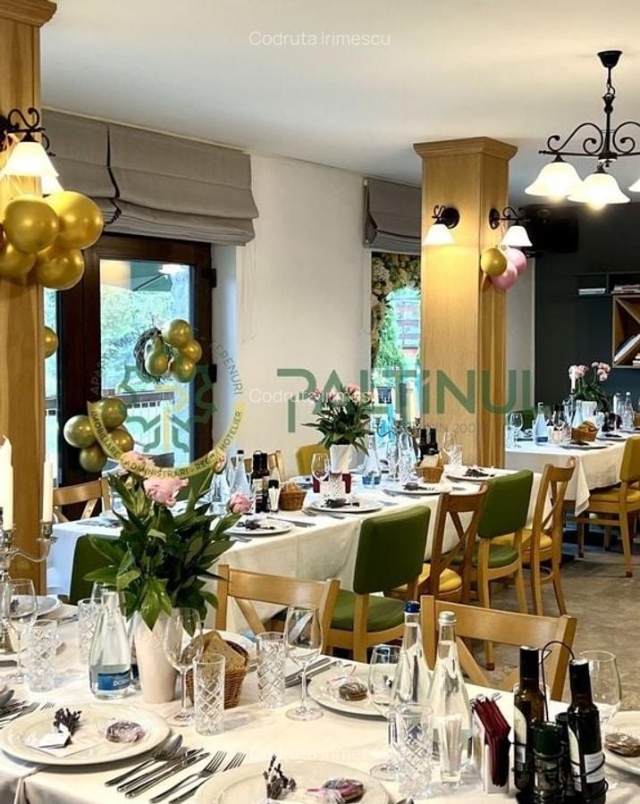 Afacere la Cheie - Pensiune 12 camere în Păltiniș - 8