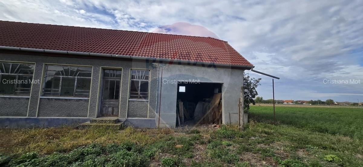 Teren si casa cu teren generos in Socodor - 23 Teren si casa cu teren generos in Socodor - 23