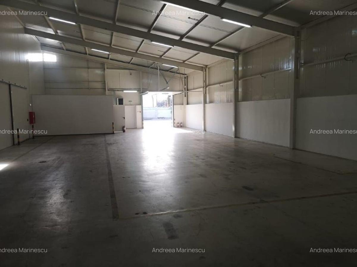 Hala industriala, 425mp, Carcea, zona Ford - 2
