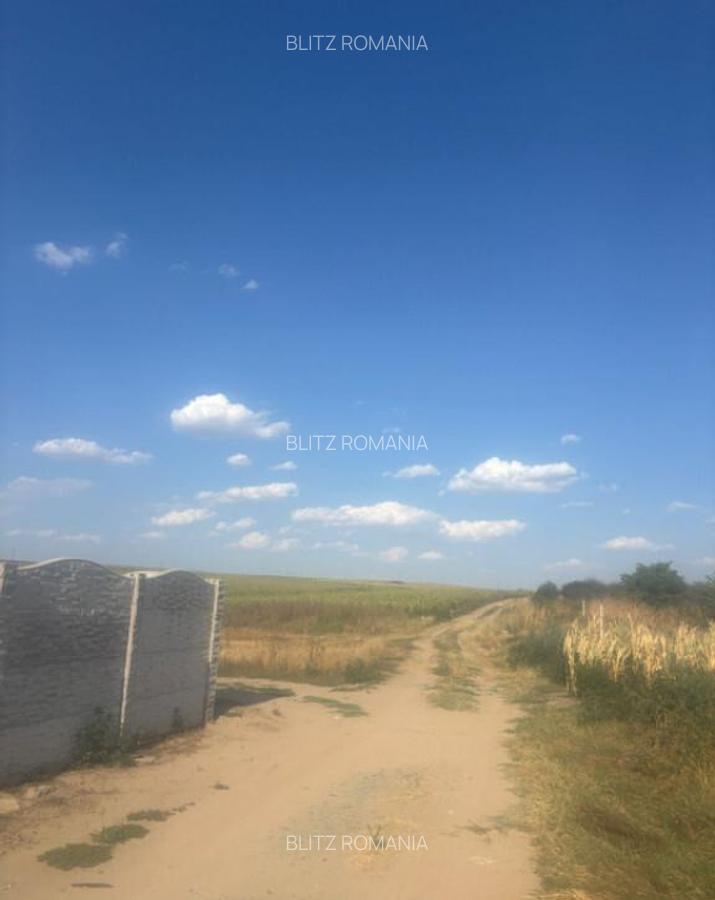 Teren intravilan, 500mp, zona Malu Mare, comision 0% - 11