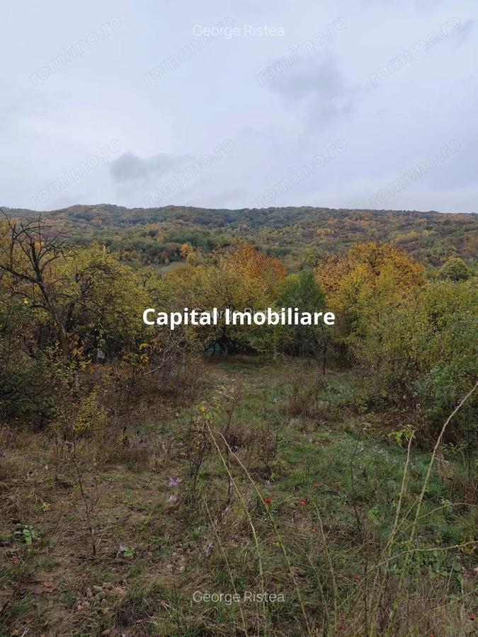 Casa Veche, Central Drajna de Jos 5000 mp - 2