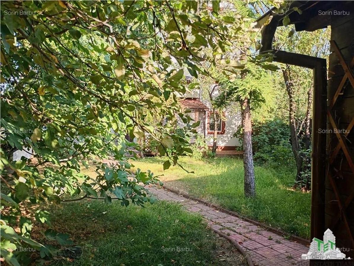 Vila superba,  zona Brancoveanu-Luica, cu 6 camere si teren de 550 de metri - 15