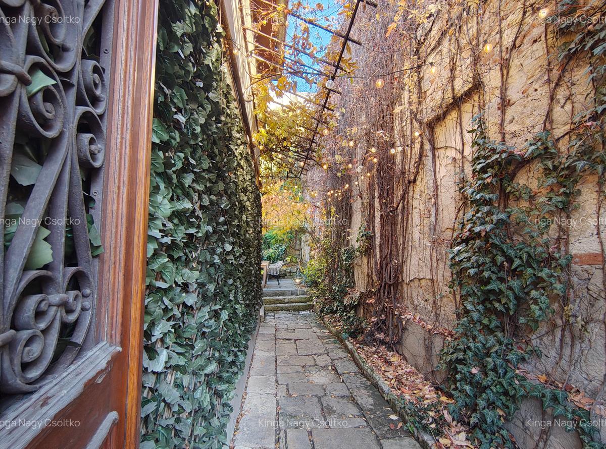 DE VÂNZARE – Spațiu de alimentație publică 53mp+111mp teren - 2