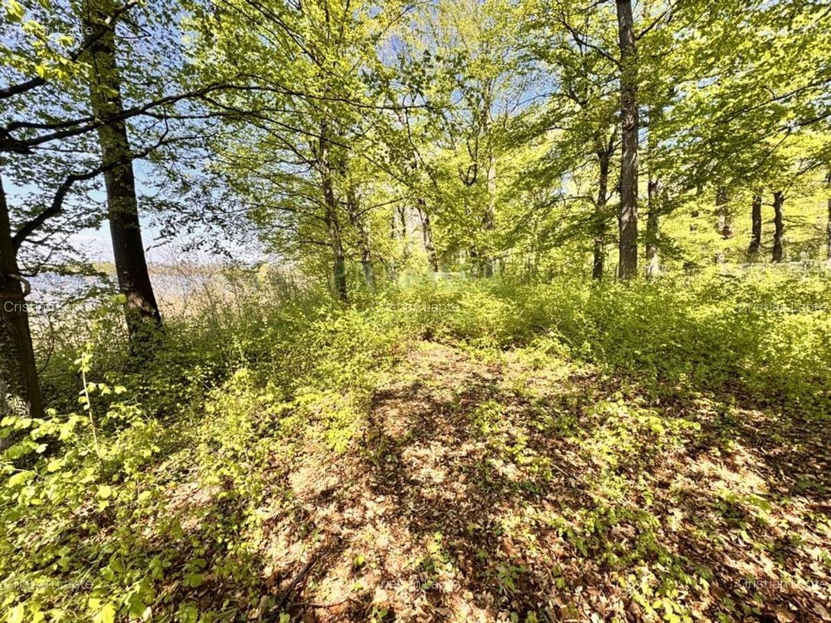 TEREN 7000 MP| DESCHIDERE 40 ML | INTRAVILAN-PADURE | POT 5% | TEREN UNIC | - 5