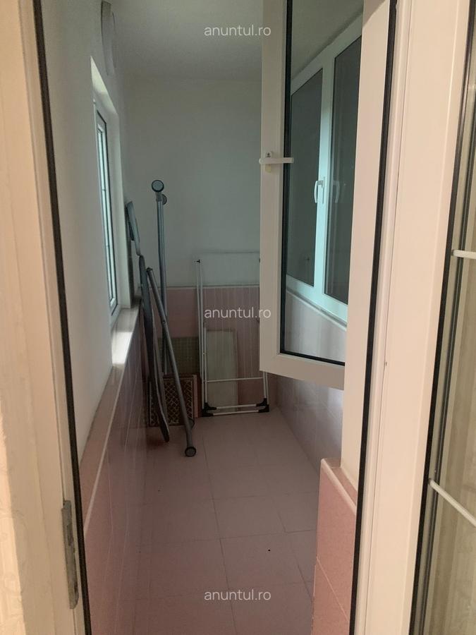 Teiul Doamnei - 6 Teiul Doamnei - 6