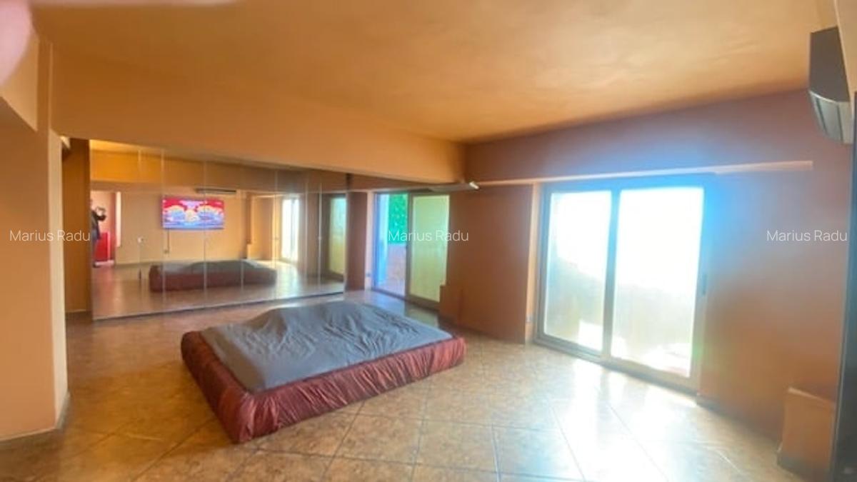 Bd. Unirii 5 camere Loft ! - 4