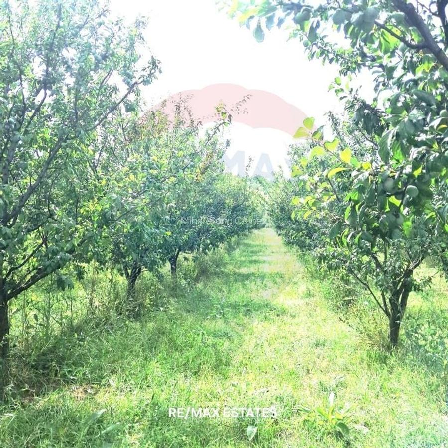 Proprietate speciala de 3,100 mp de vanzare in Maierus - 19