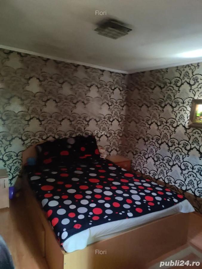 Casa de vanzare Mihai viteazu - 2