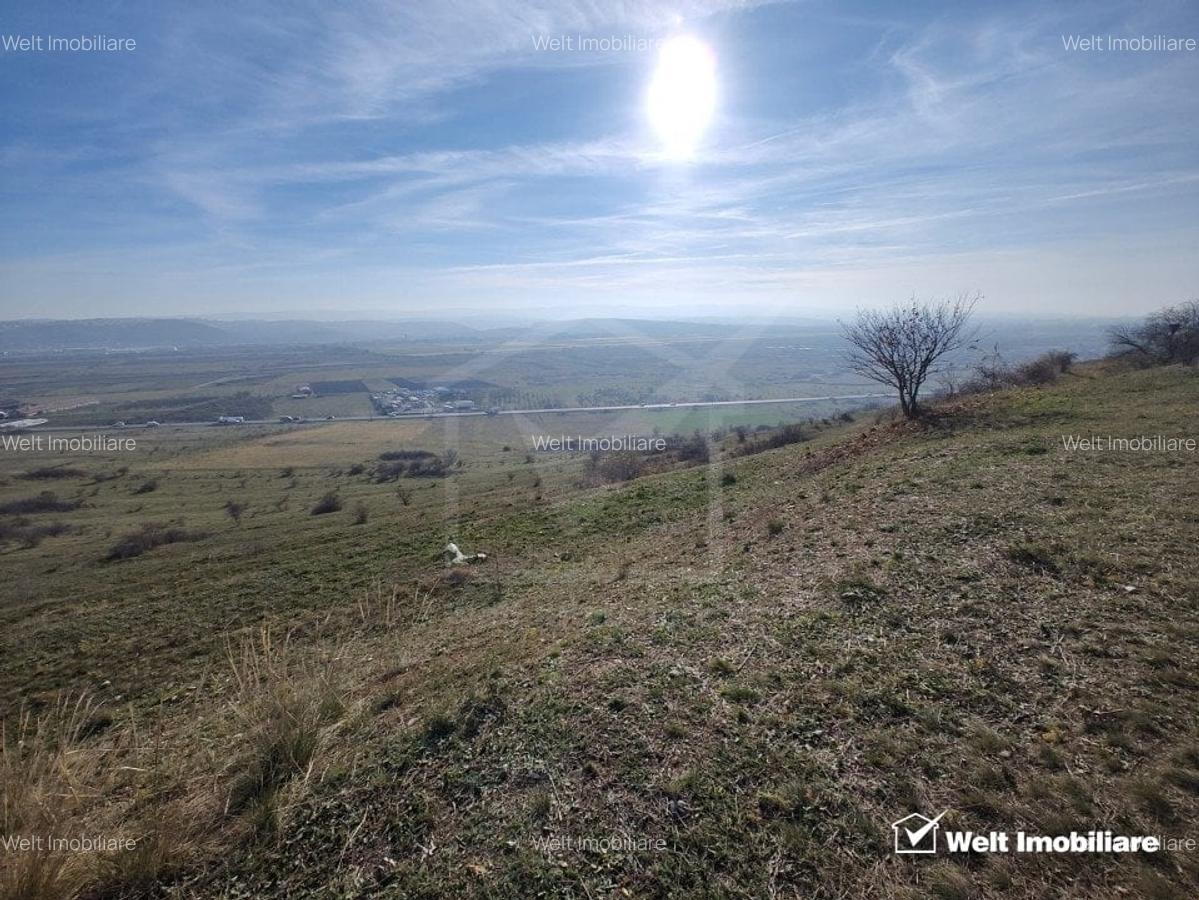 Teren zona Colonia Hodai, 10320 mp, Utr - TDA-L, terasat, acces auto - 2