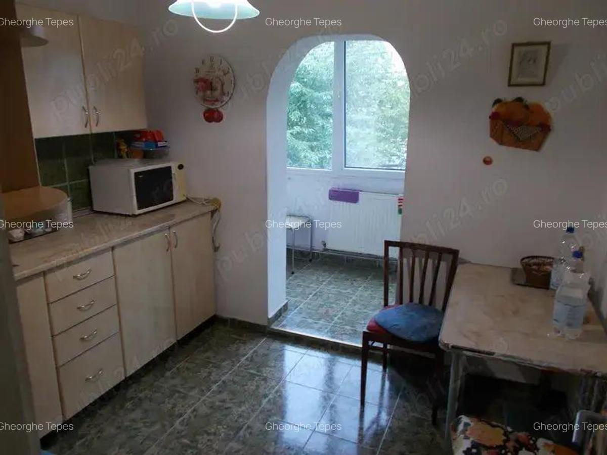 Apartament 3 camere decomandat, Timisoara, Freidorf, Lic. Auto, et. 1, mobilat, utilat - 8