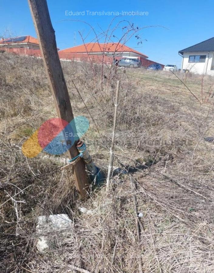 Teren intravilan 500mp - 4